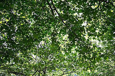 官宣！《战神5》将于2022年11月9日发售