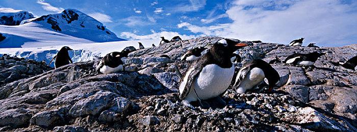 《毁灭全人类2：重新探测》单机版现已发售